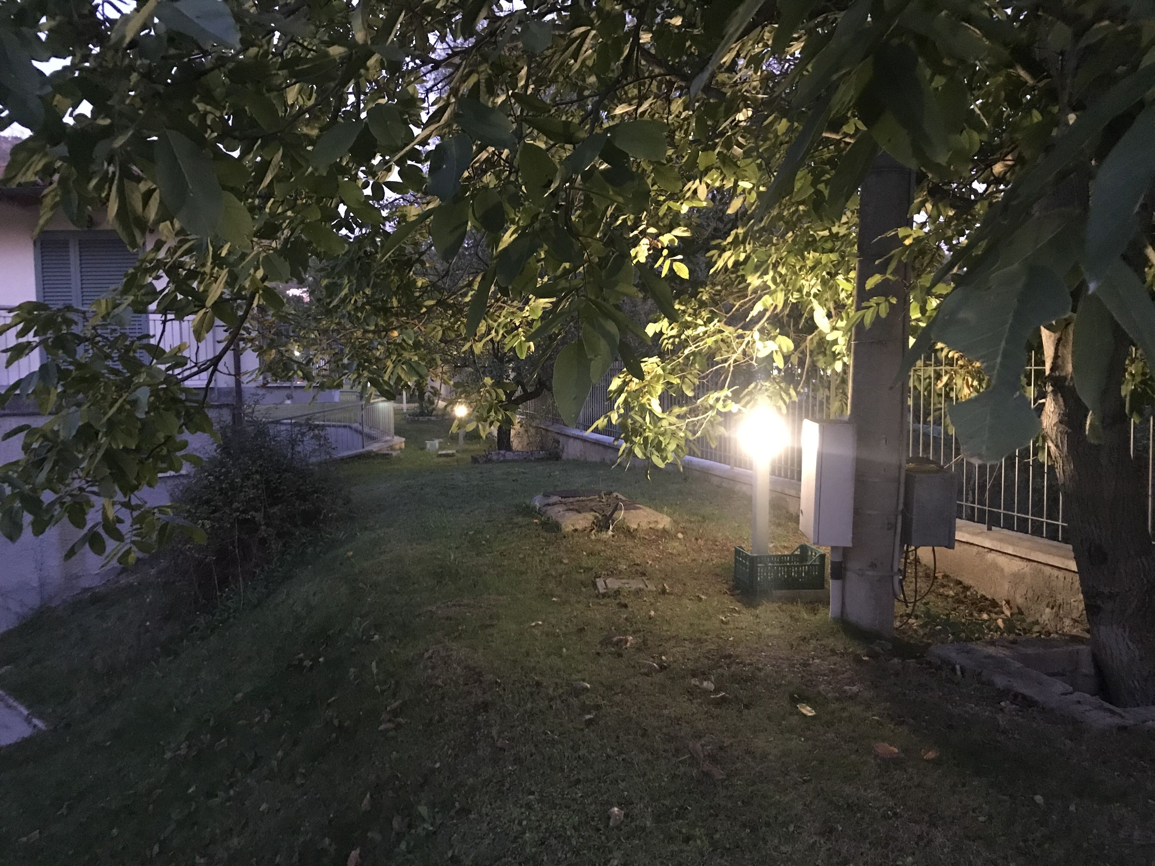 Ein gepflegter Gartenbereich mit Rasenfläche, einem kleinen Teich und einer Umzäunung.