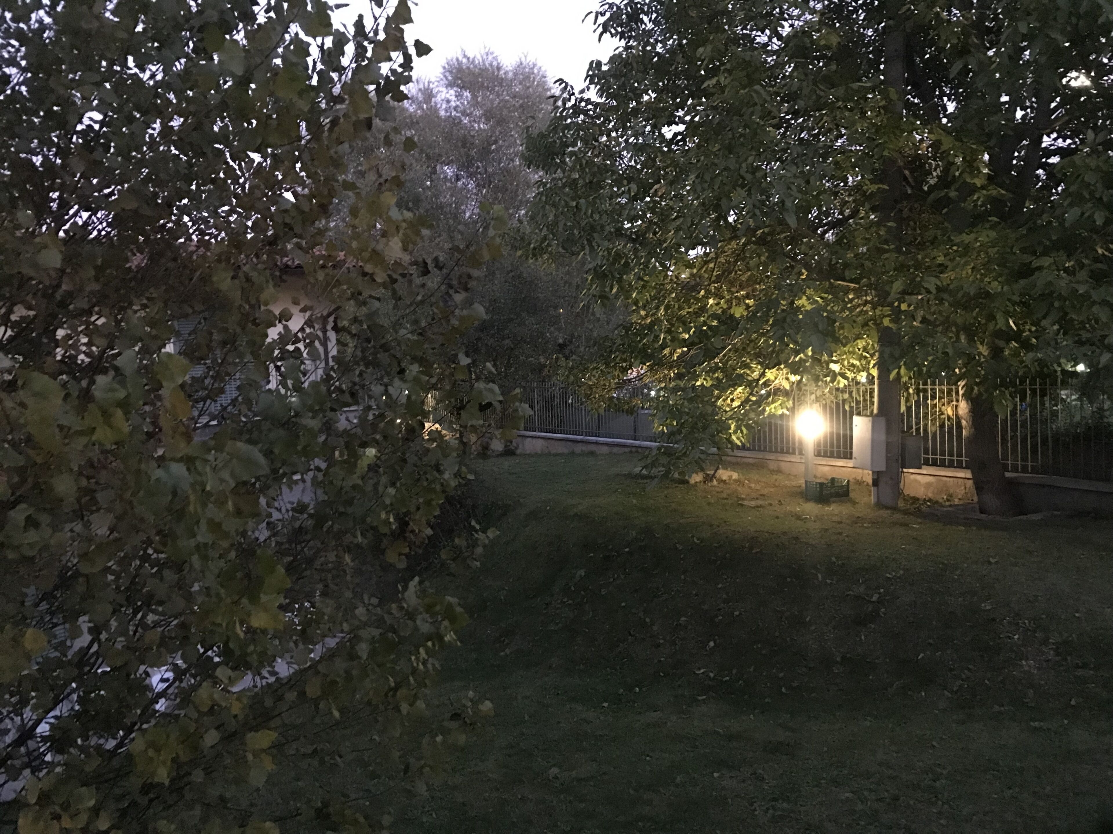 A park with trees and a fence.
