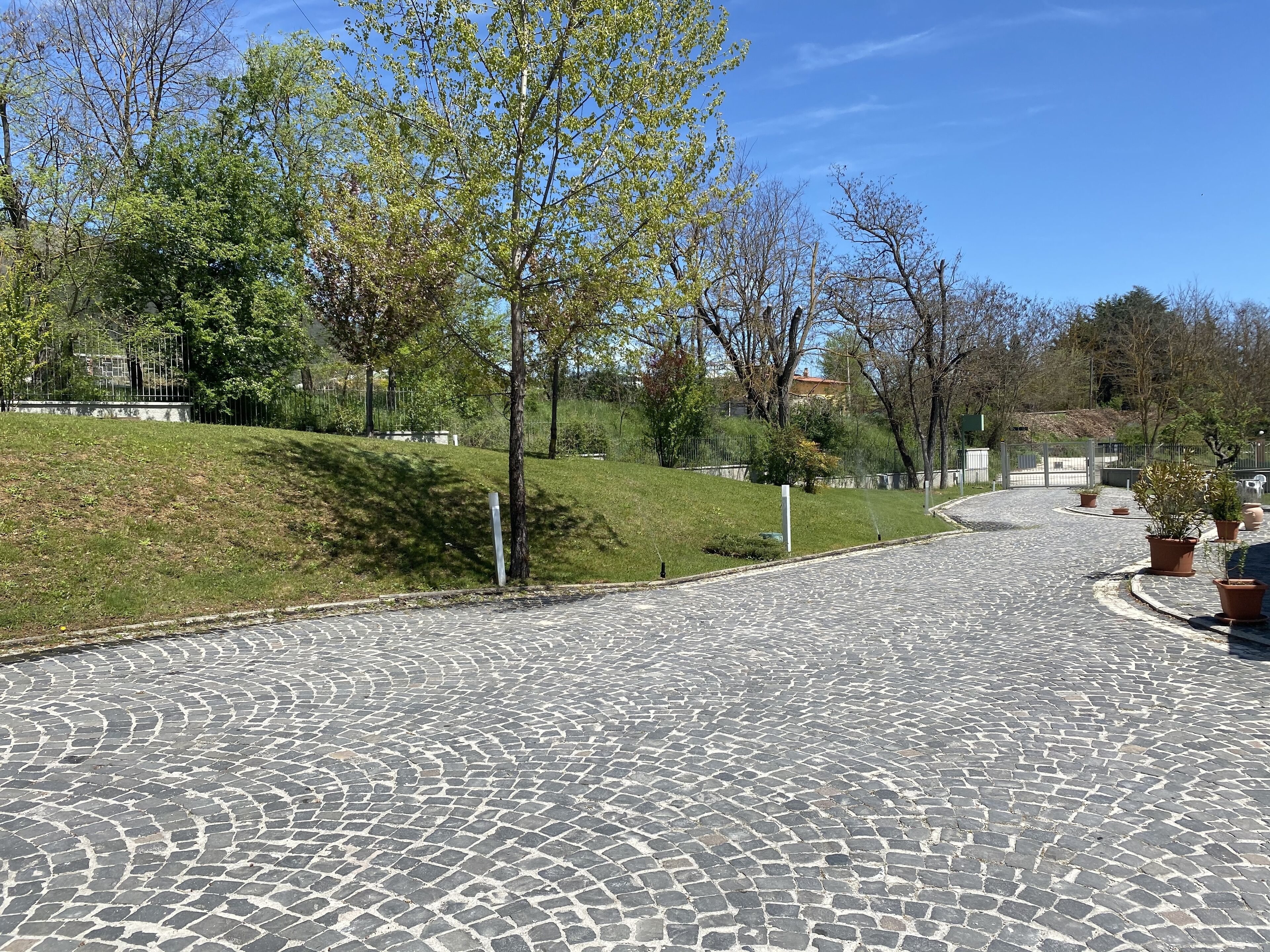 A cobblestone pathway in a park with trees and potted plants.