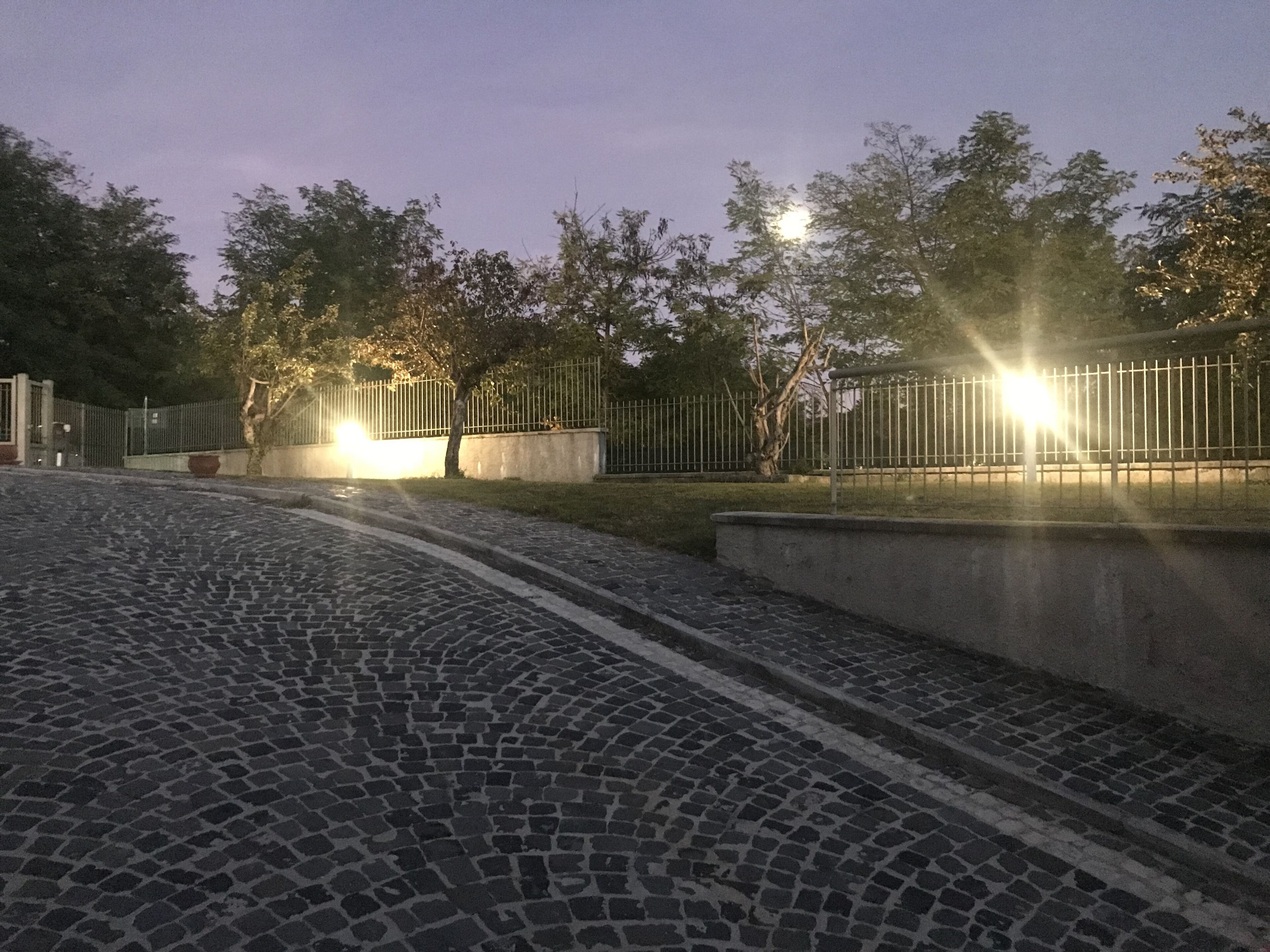 A cobblestone street at dusk with street lamps and a metal fence.