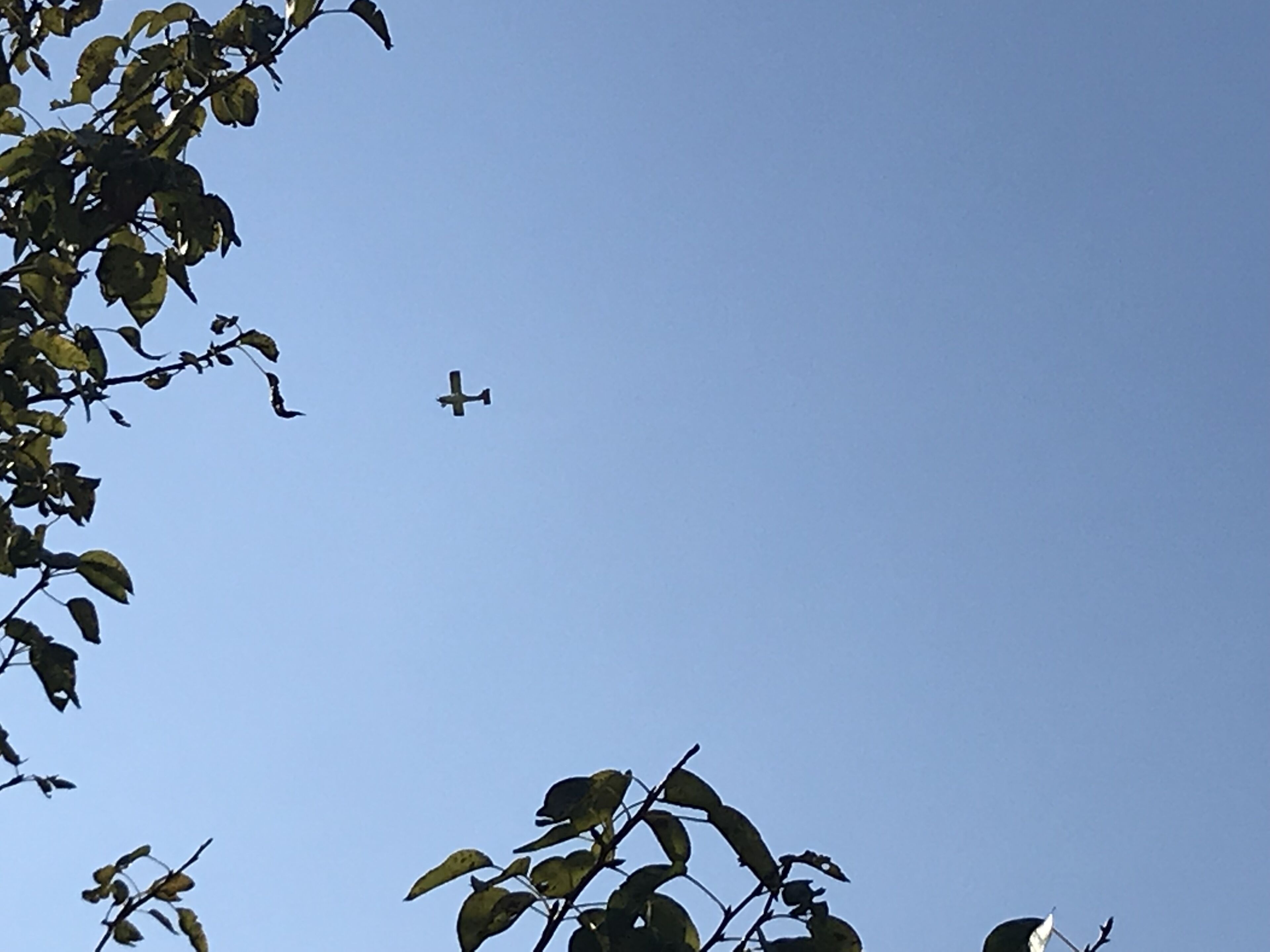 Ein klarer, blauer Himmel mit einem Flugzeug in der Ferne.