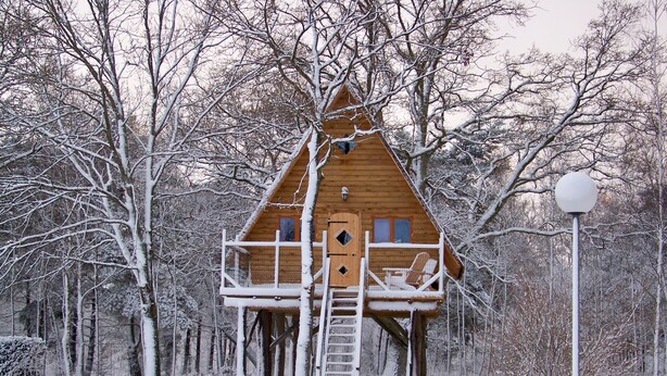A wooden cabin with a balcony and a ladder leading up to it, surrounded by snow-covered trees. - Le Nid dans les Bruyères (Fere-en-Tardenois)