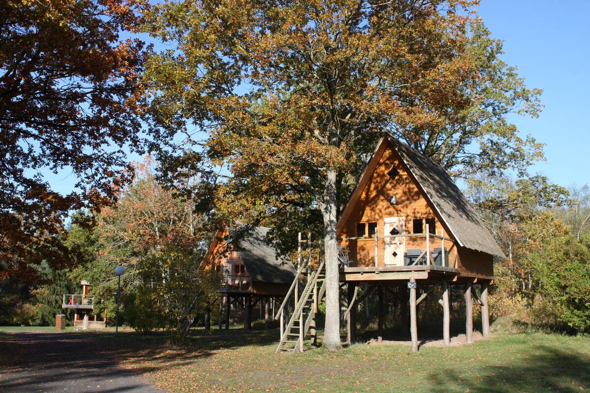 A wooden cabin with a thatched roof, elevated on stilts, surrounded by trees with autumn foliage.