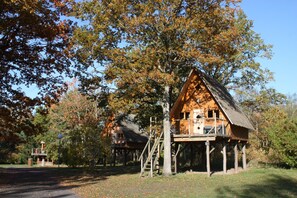 Terrace/patio - Le Nid dans les Bruyères (Fere-en-Tardenois)