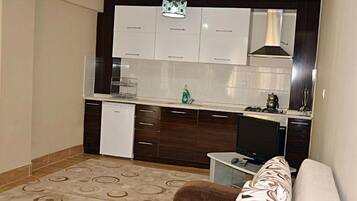 Apartment, 1 Bedroom | Private kitchenette | Fridge, oven, stovetop, cookware/dishes/utensils