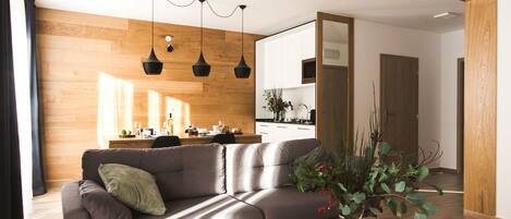 Apartamento Confort, chimenea | Zona de estar | Una televisión de pantalla plana