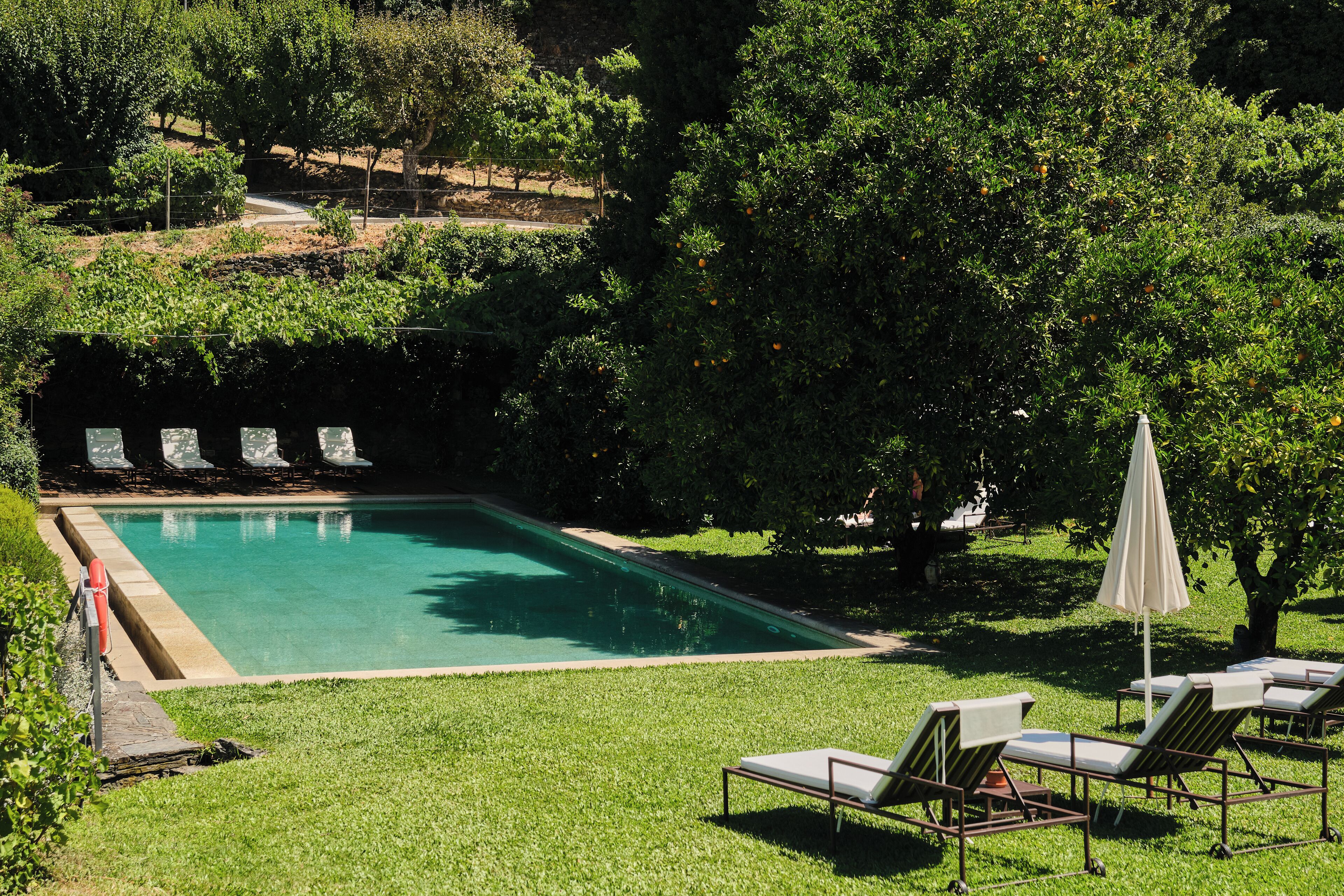 Una piscina con sillas de descanso y una sombrilla, rodeada de abundante vegetación.