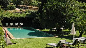 Una piscina con sillas de descanso y una sombrilla, rodeada de abundante vegetación.