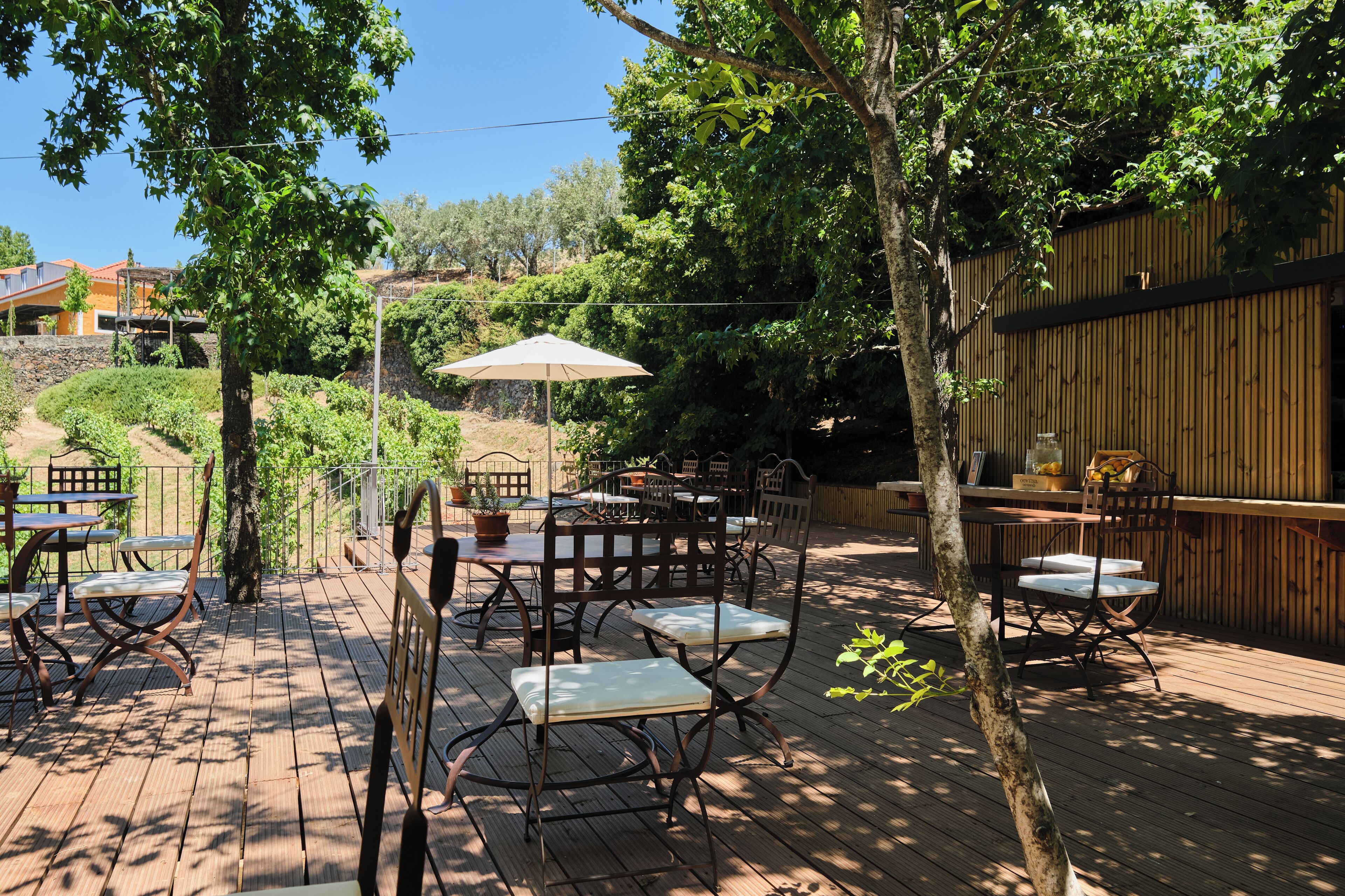 Un patio al aire libre con mesas y sillas de madera, rodeado de árboles y una cerca de madera.