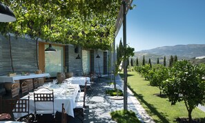 Desayuno bufé gratuito y diario