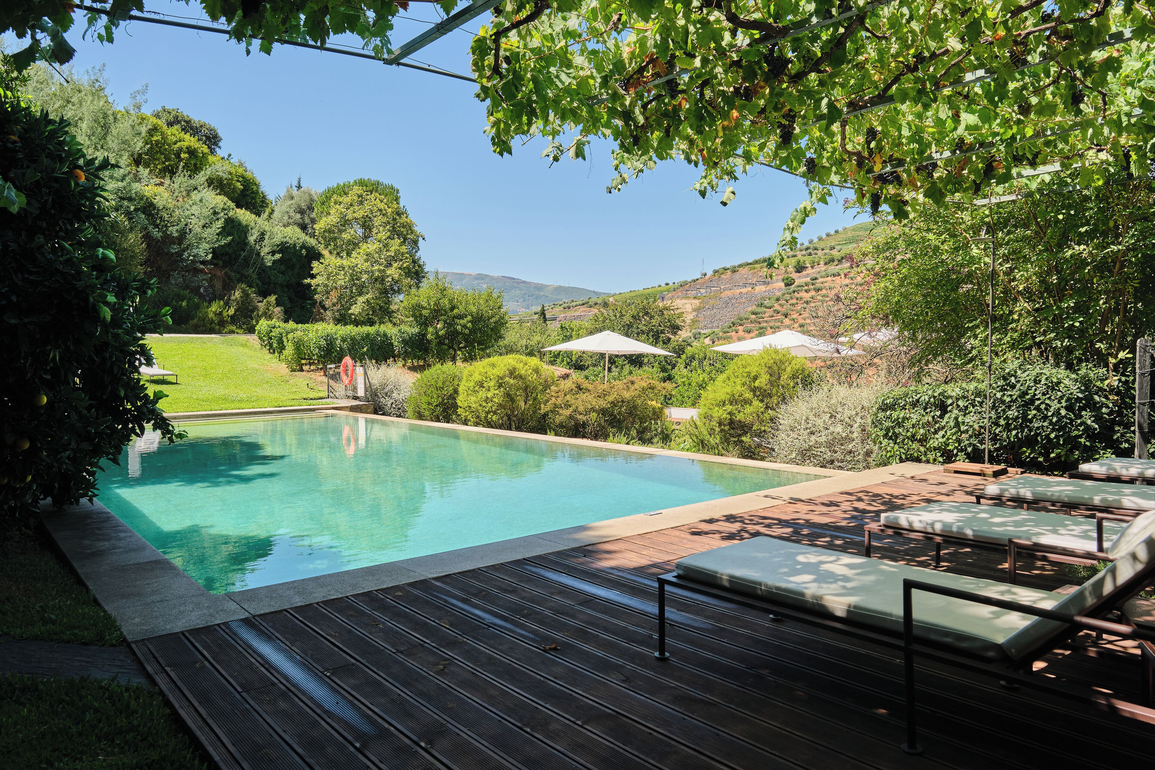 Outdoor pool, pool loungers