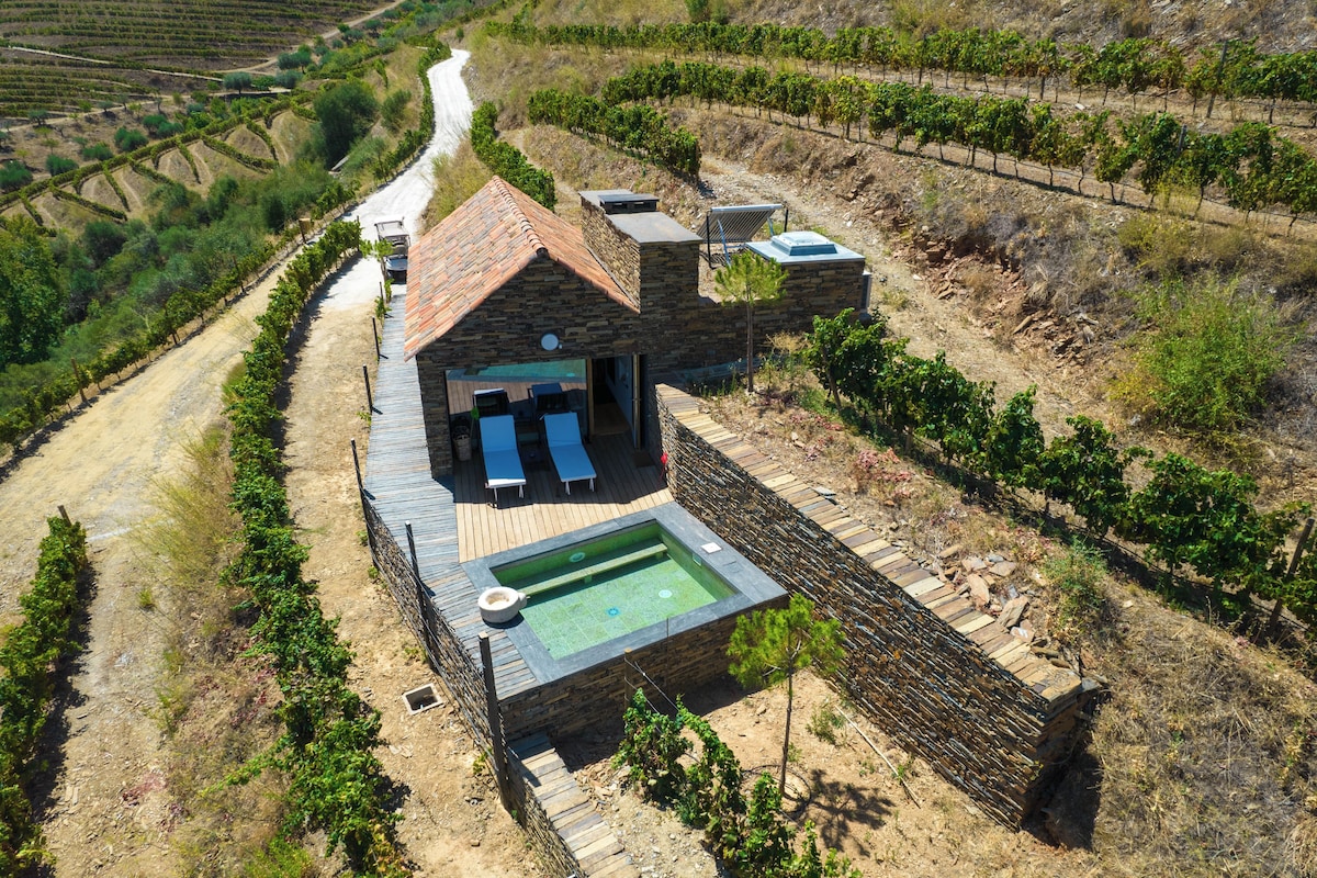 Una casa de piedra con piscina, rodeada de viñedos.