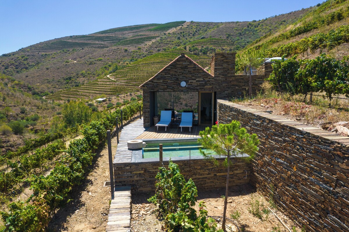 Edificio de piedra con piscina y sillones de descanso, rodeado de hileras de viñedos.