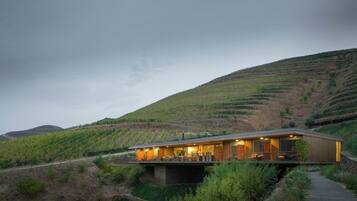 Situated on a hillside, this single-story building offers a serene setting with a vineyard in the background.