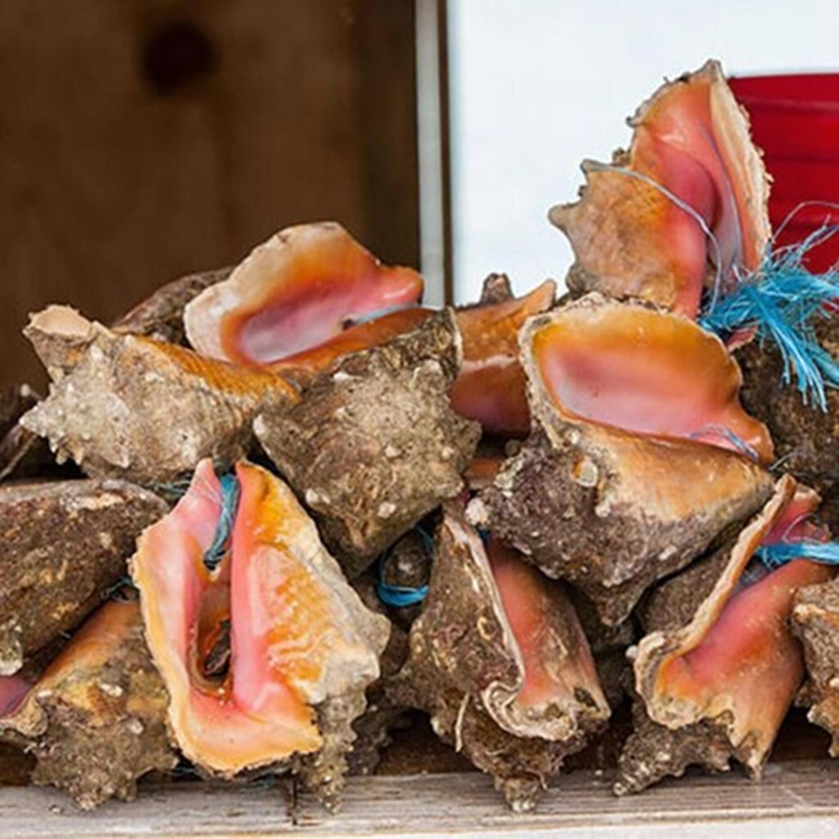 breakfast, lunch, dinner served; american cuisine, beach views