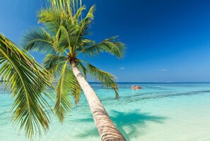 On the beach, white sand