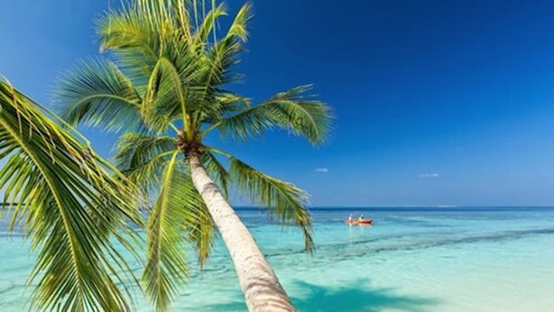 Una palmera en primer plano, agua turquesa cristalina y un barco a lo lejos.