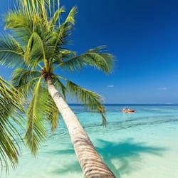 On the beach, white sand, snorkelling, windsurfing