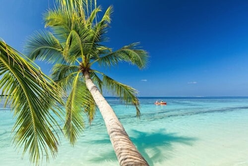 Saint Francis Resort