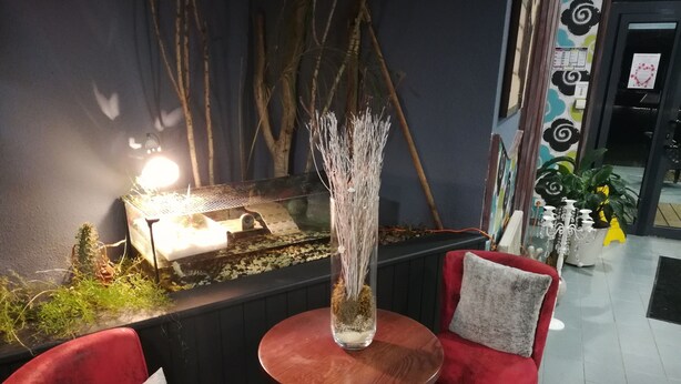 Un coin salon accueillant avec une table ronde en bois, deux chaises rouges et un vase décoratif contenant des branches séchées.