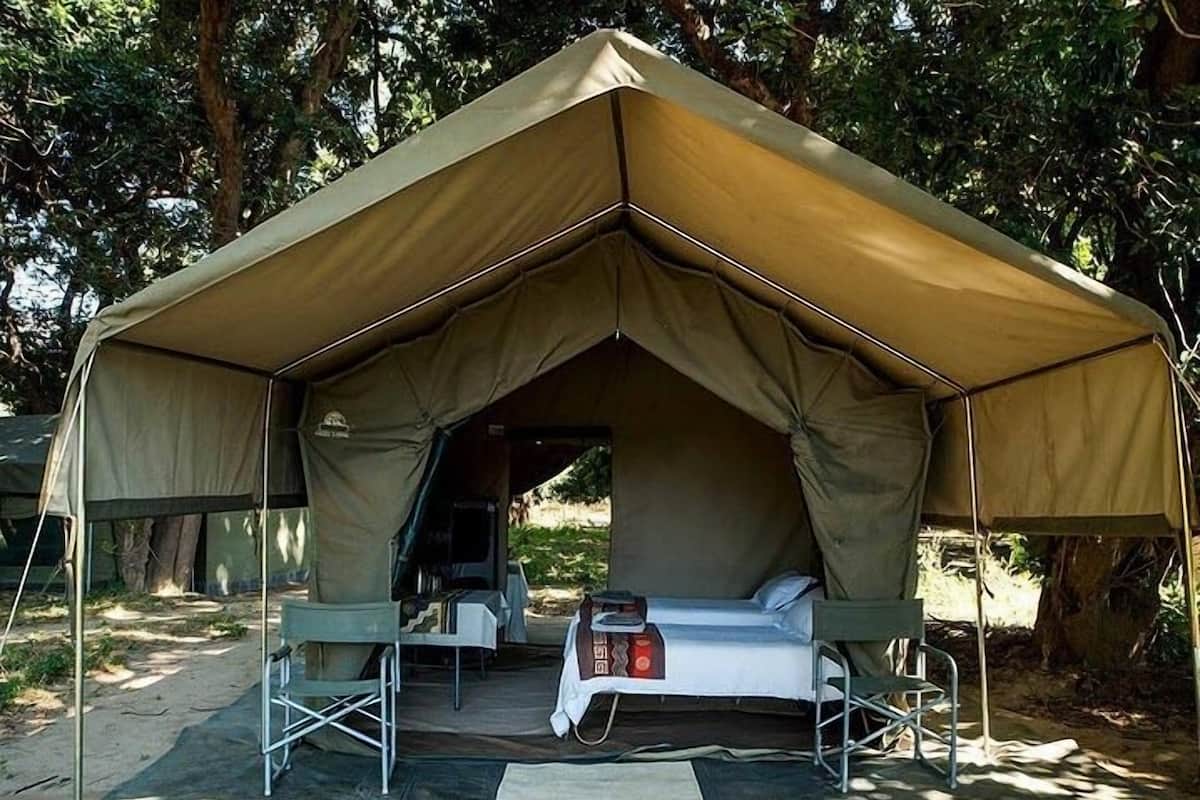 A tent with a bed inside, surrounded by trees.