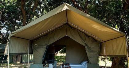 Mwinilunga Safaris