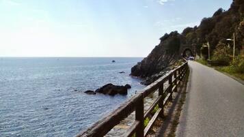 Una strada costiera con una ringhiera in legno, un litorale roccioso e una vista aperta sul mare.