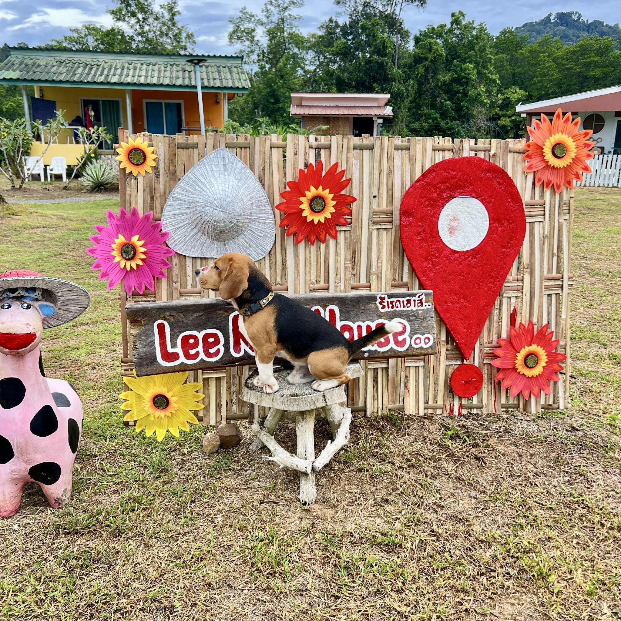 Fachada del alojamiento