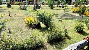 A tropical garden with various plants and a small structure. - Lee Red House (Ko Kood)
