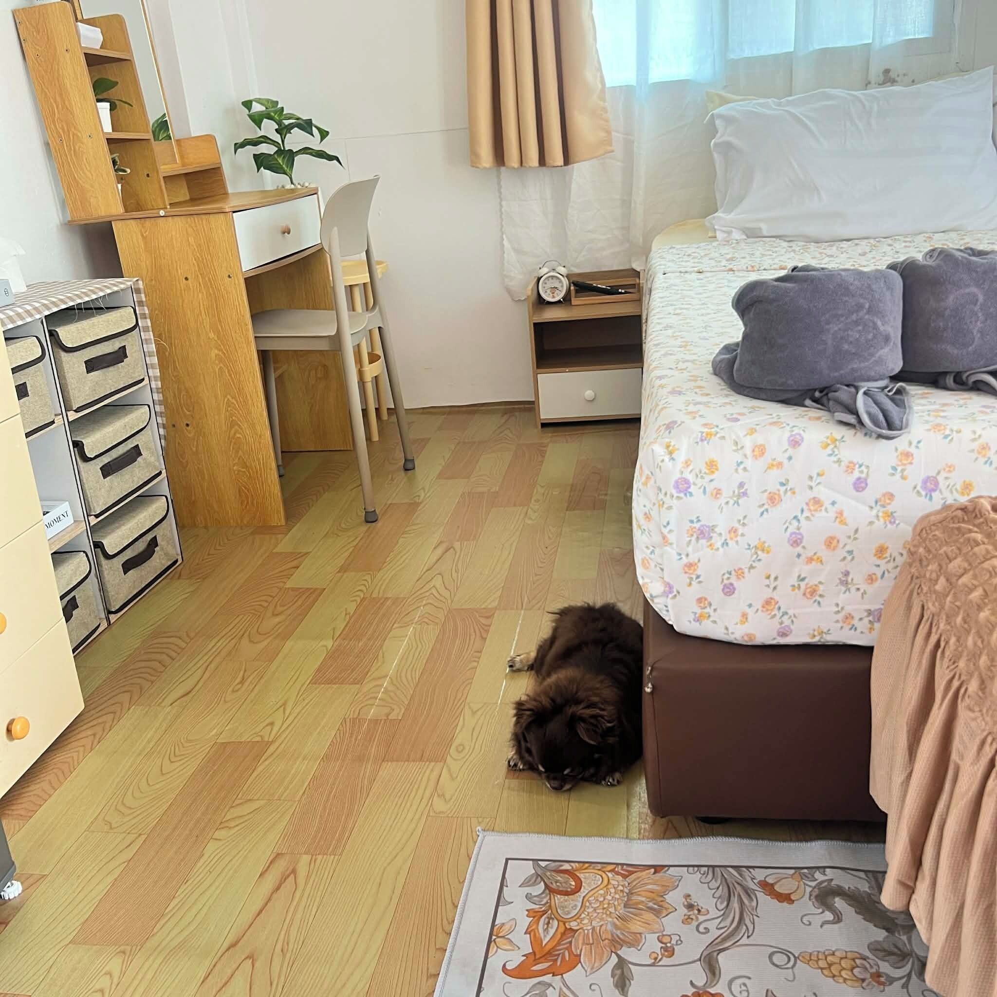 Un dormitorio con cama, escritorio, silla, cómoda y un perro en el suelo.