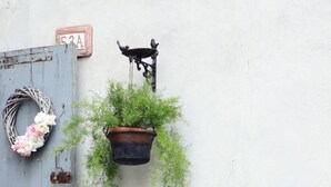 Una puerta rústica con un cartel numerado, una pizarra y plantas en macetas.