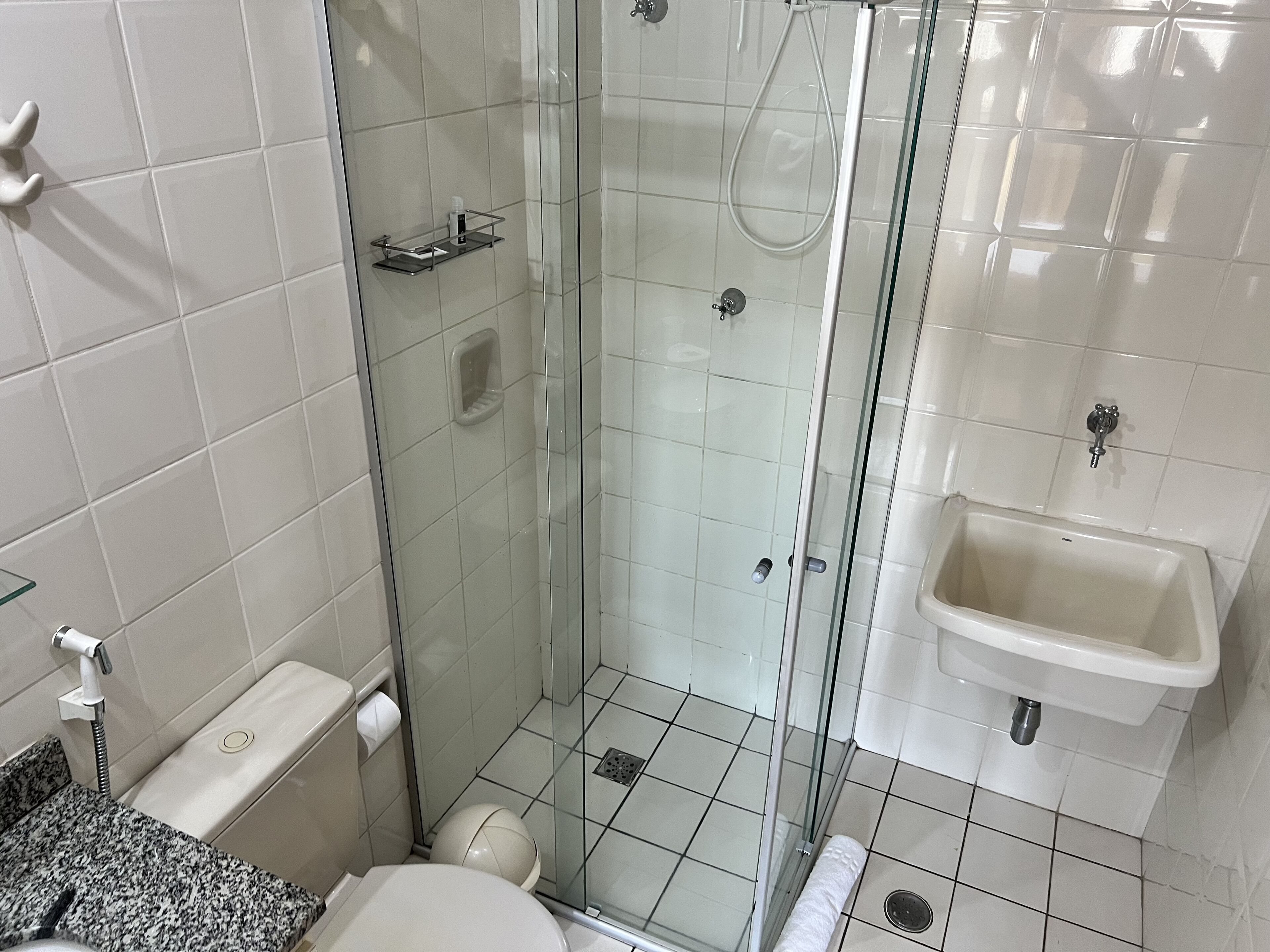 Un baño con ducha acristalada, inodoro y lavabo.