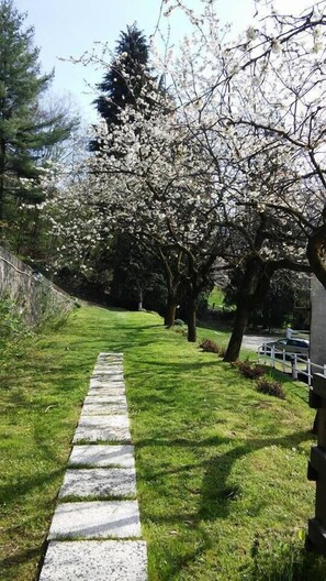 Garden - La Fattoria del Pino (Miasino)
