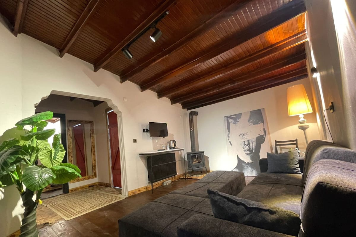 Ein gemütliches Wohnzimmer mit einer Couch, einem Fernseher, einem Kamin und einer großen Pflanze.