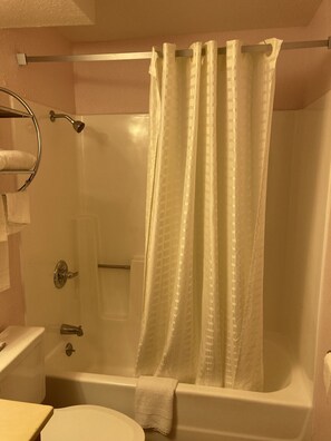 Combined shower/tub, hair dryer