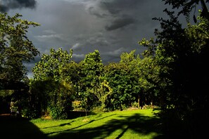 Garden - Casa El Cedro (Charalá)