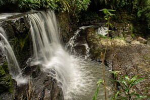 Ecotours - Casa El Cedro (Charalá)