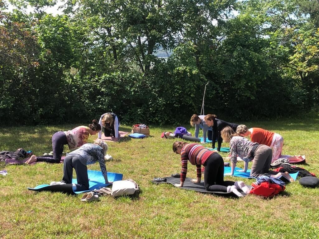 Un grupo de personas realizando una actividad física al aire libre, rodeado de árboles.