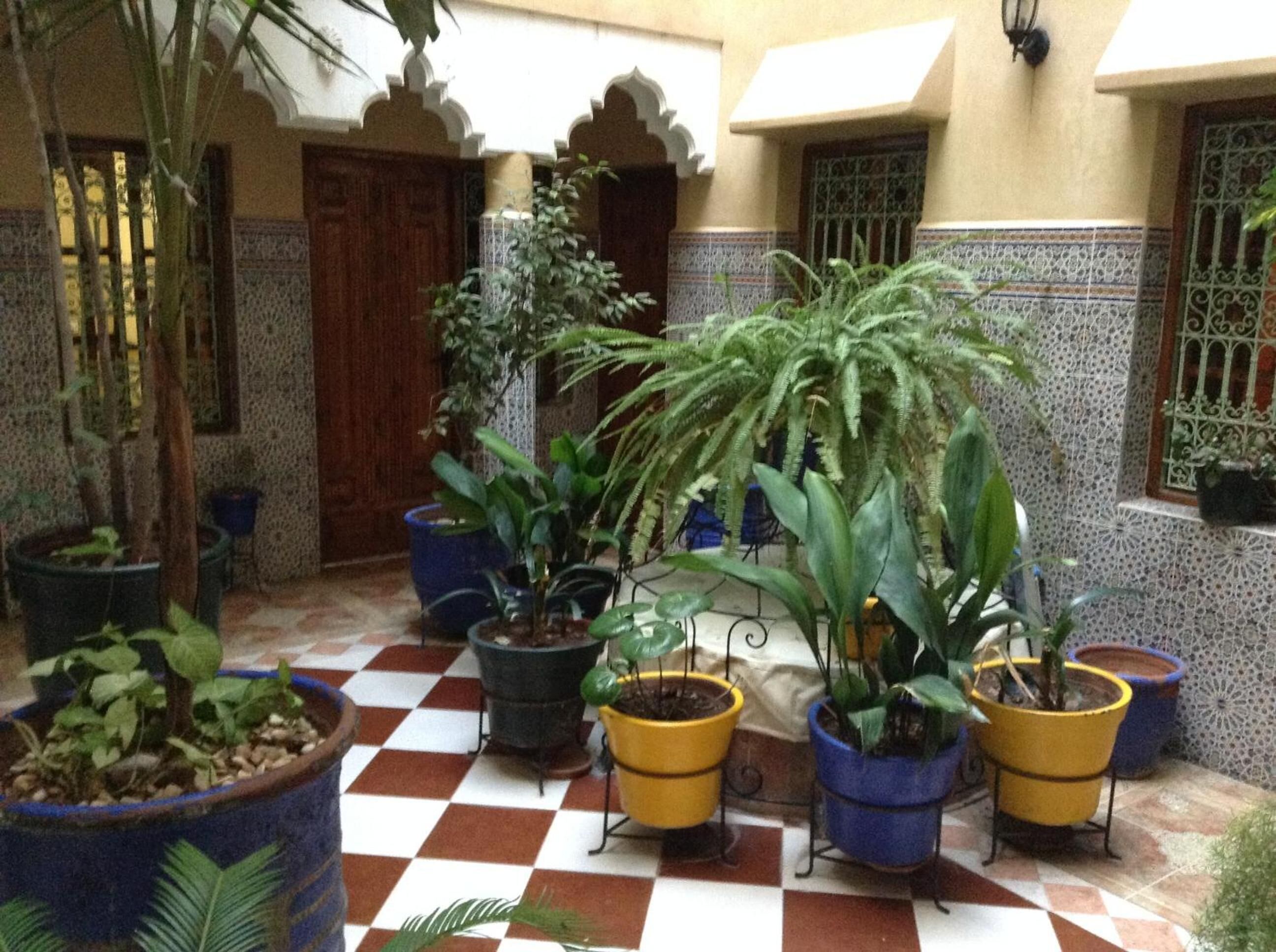 Foto - Hôtel Faouzi