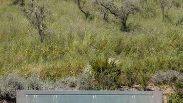 Seasonal outdoor pool, open 9:00 AM to 9:00 PM, sun loungers