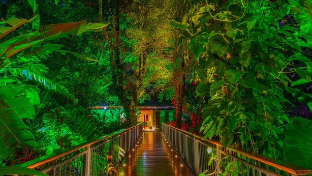A wooden pathway flanked by lush greenery and a small building at the end.