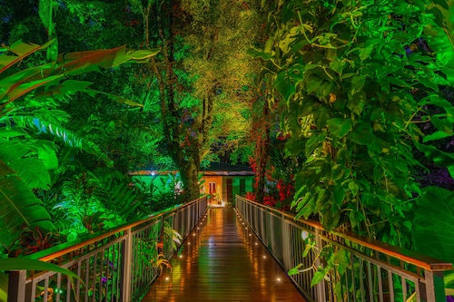 Noah's Forest by Tifakara