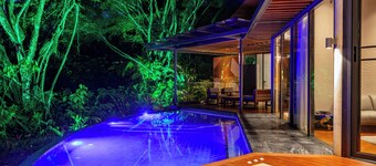 Noah's Forest by Tifakara