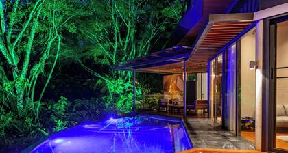 Noah's Forest by Tifakara