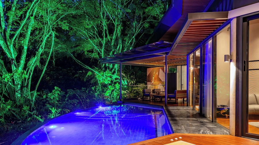 Noah's Forest by Tifakara