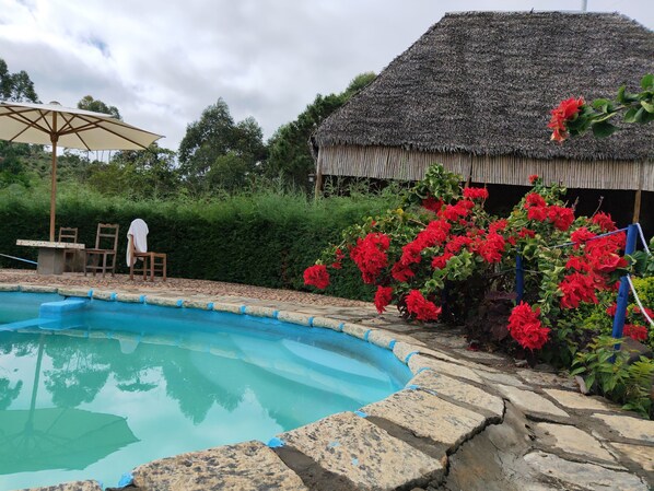 Outdoor pool, pool umbrellas, pool loungers
