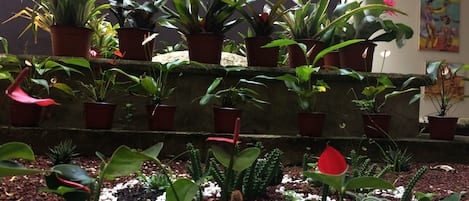 Jardín