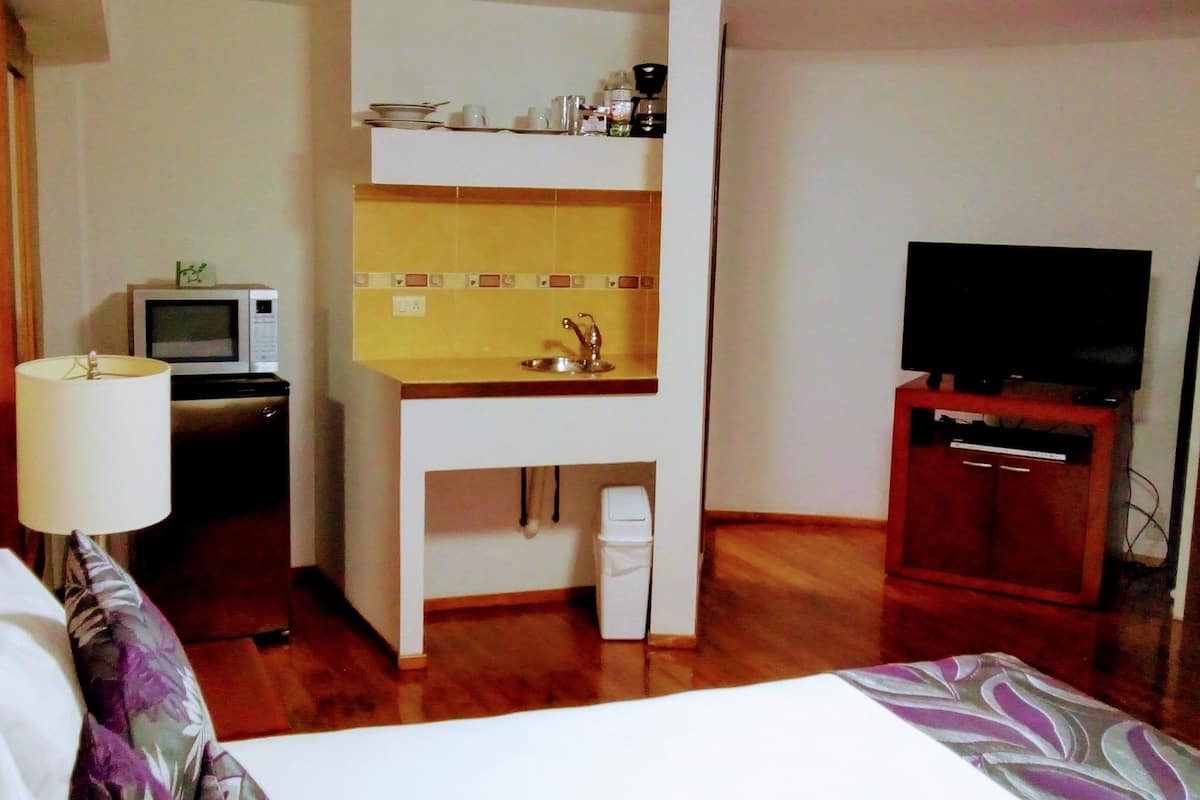 Habitación básica doble | Minibar, decoración individual, escritorio y cortinas opacas