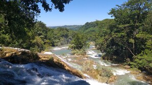 Un río que atraviesa una zona boscosa con una cascada.