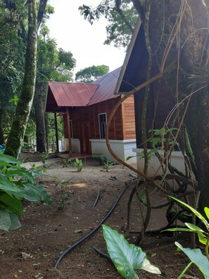 Ein rustikales Holzgebäude mit Wellblechdach, umgeben von dichtem Grün und einem Gartenbereich mit jungen Pflanzen und einer sichtbaren Bewässerungsanlage.